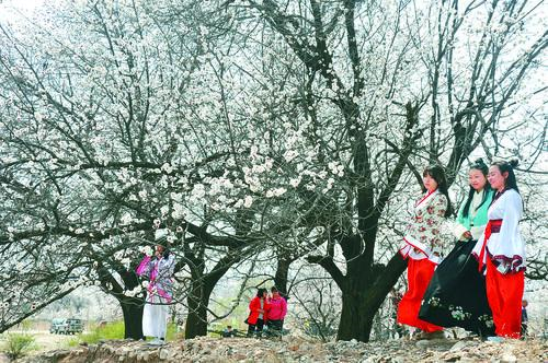 007旧版足球比分 历史赛事